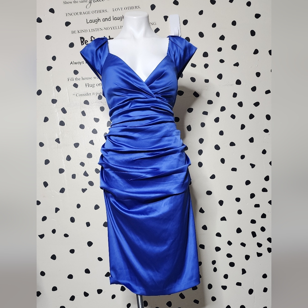 Sigbature Blue Ruched Dress